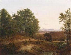 Partie Aus Dem Wienerwald (?) Partie Aus Dem Wienerwald (?)