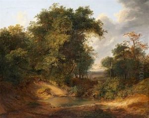 At A Small Pond In A Forest