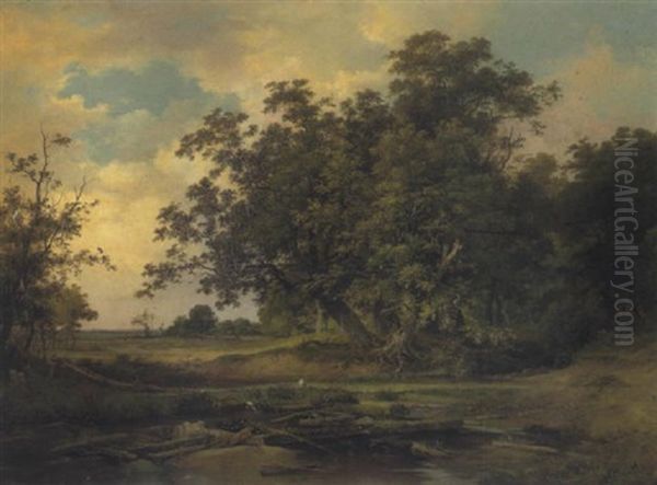 Waldlandschaft - view 1