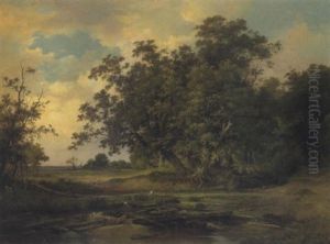 Waldlandschaft