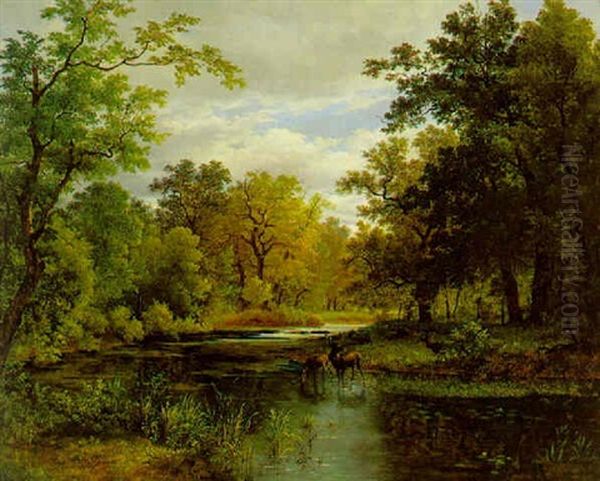 Aulandschaft Mit Rotwild Im Vordergrund - view 1