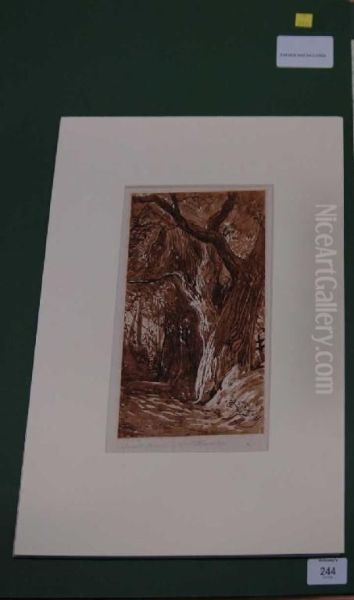 Devon Brown Wash - view 1