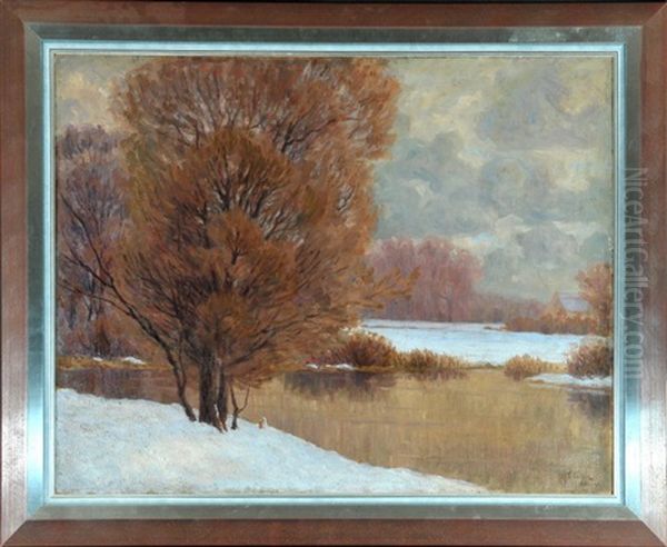Winterliche Flusslandschaft - view 1