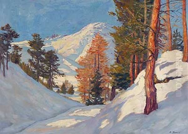 Sonniger Wintertag In Den Alpen - view 1