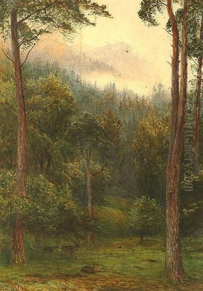 Deer In A Forest. - view 1