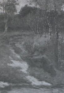 Birken Am Bach Birken Am Bach