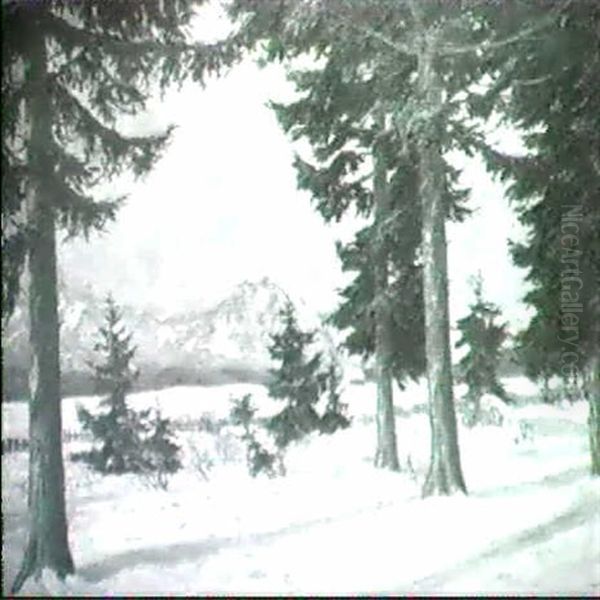 Wintersonne - Wetterstein - view 1