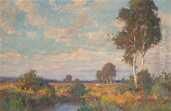 Abend Im Moor - view 1