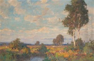 Abend Im Moor