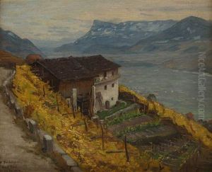 Dorfansicht Von Dorf In Sudtirol