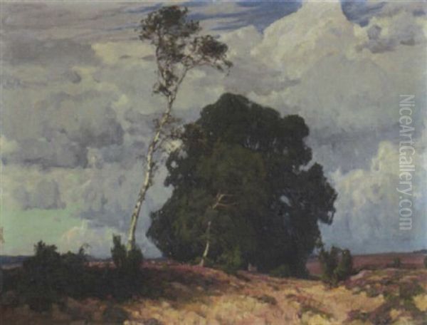 Nach Dem Gewitter - view 1