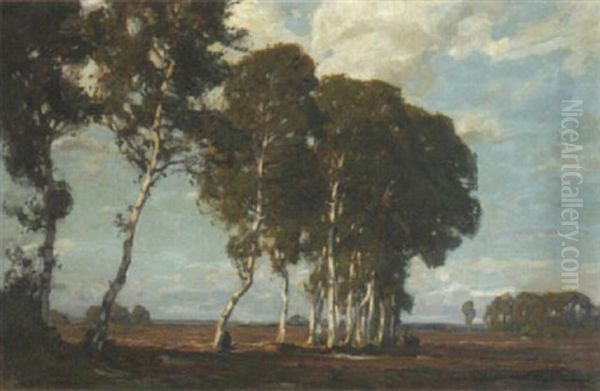 Auf Abendlicher Heide - view 1