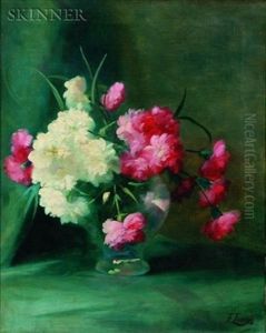 Carnations Carnations