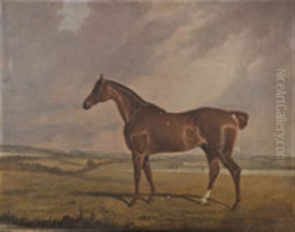 A Portrait Of A Blood Horse In A Landscape - view 1