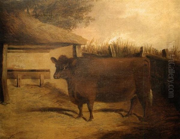 Prize Cow - view 1