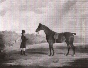 A Gentleman Holding His Bay Hunter In A Landscape by George Fenn