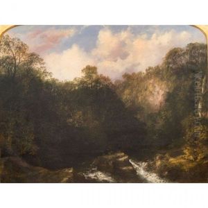 Rushing Forest Stream