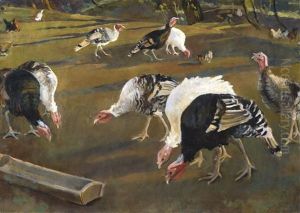 Turkeys