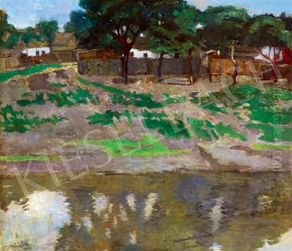 Szolnok Landscape - view 1