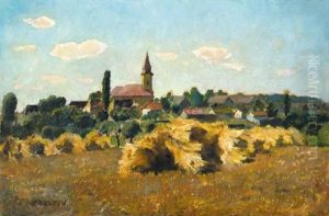 View Of Szolnok