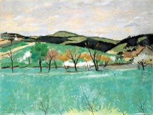 Field In Spring