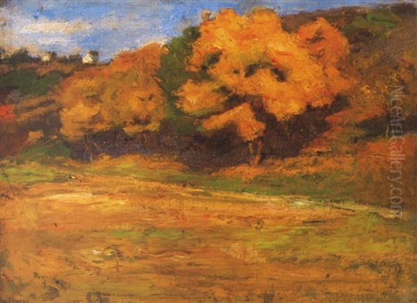 Verofenyes Oszi Delutan (sunny Autumn Afternoon) - view 1