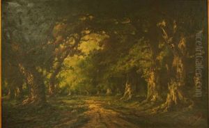 Effets De Lumiere Dans La Clairiere by Adolfo Feragutti Visconti