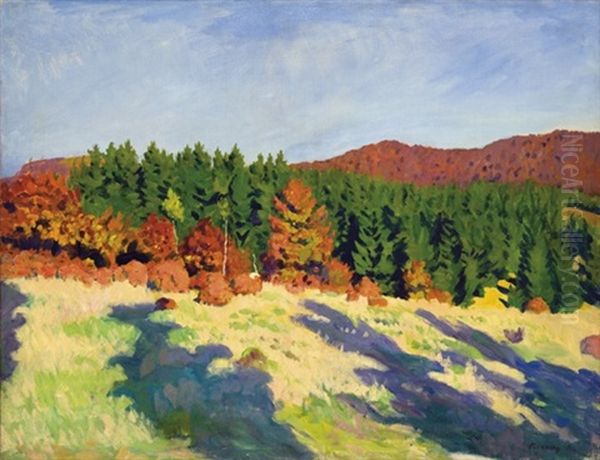 Izvora - view 1