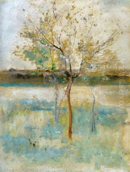 Viragzo Fa, 1892 (blooming Tree) - view 1