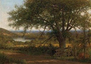 View To The River