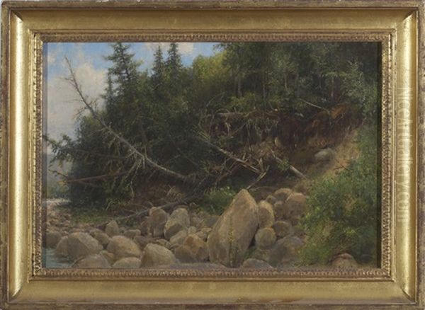 Adirondack Lake Shoreline With Cedar Trees - view 1