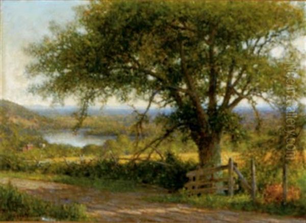 A Winding Road - view 1