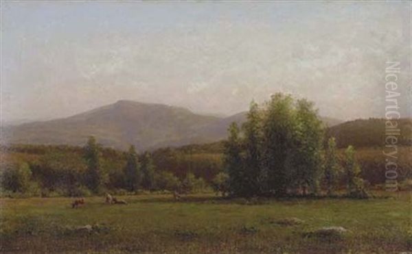 Landscape Vista - view 1