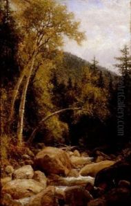 Lafayette Brook, Lafayette Mountain, White Mountains, New Hampshire by Henry A. Ferguson