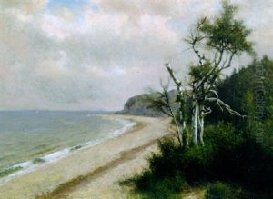 White Birches, Plymouth, Mass 1905