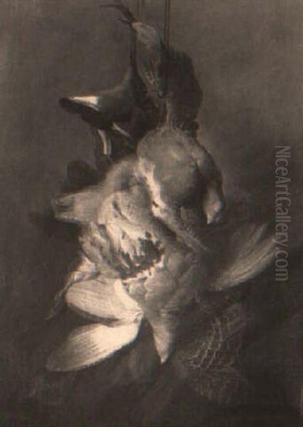 Still Life Of Hanging Partridges - view 1