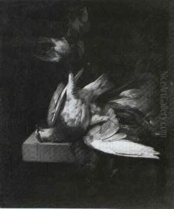 Still Life Of Pigeon And Hawking Hood Hanging From A Nail