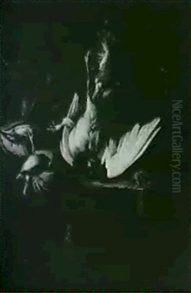 Nature Morte Aux Oiseaux - view 1
