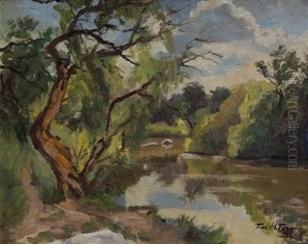 The River Parys O.f.s. [sic] - view 1