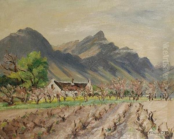 Witleg Farm, Tulback - view 1