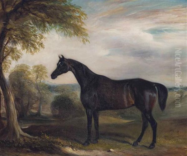 Horse In A Landscape - view 1