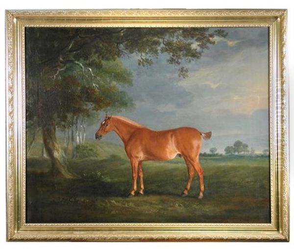 A Chestnut Hunter In A Leicestershire Landscape - view 1