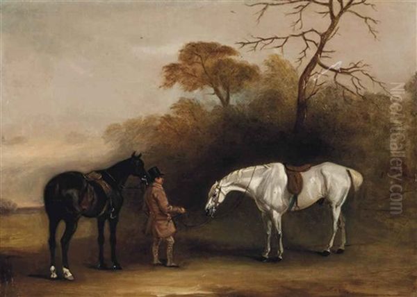 A Groom With A Dark Bay And A Grey Hunter - view 1