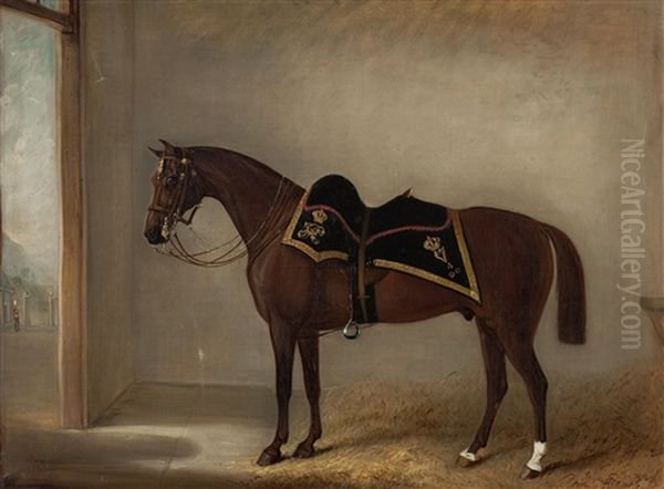 Lively Dick, A Charger Of The 4th Dragoon Guards - view 1