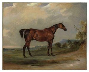 Sir David Baird's Chestnut Hunter "jaime Hope" Sir David Baird's Chestnut Hunter "jaime Hope"