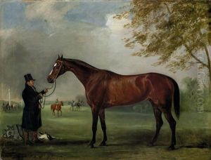 Melbourne, Held By A Trainer, In A Landscape