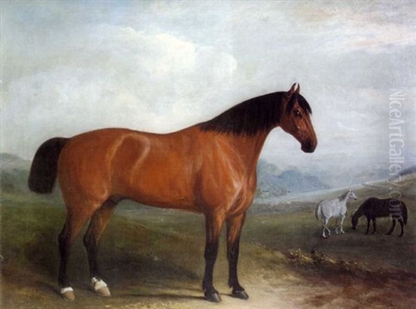 Portrait Of A Bay Hunter In Landscape With Grey And Chestnut Horses - view 1