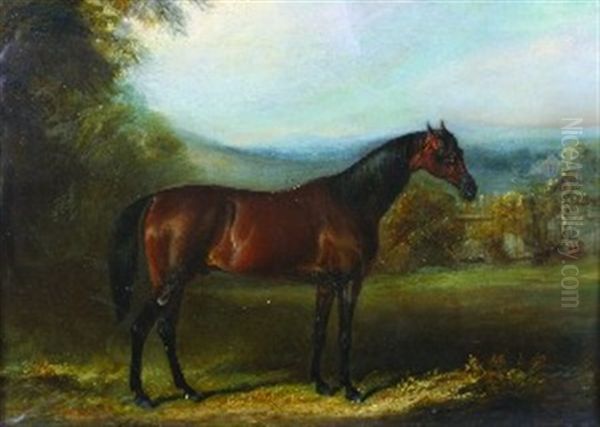 Portrait Of A Horse - view 1