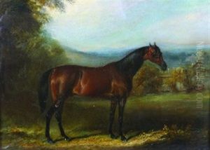 Portrait Of A Horse by John Ferneley Jr.
