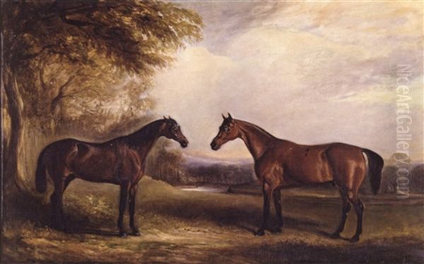 "ion" And "palmeria" In A Landscape - view 1
